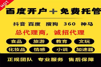电商成功案例：竞价推广助力品牌崛起